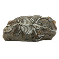 Dinosaur Fossil Aquarium Decor