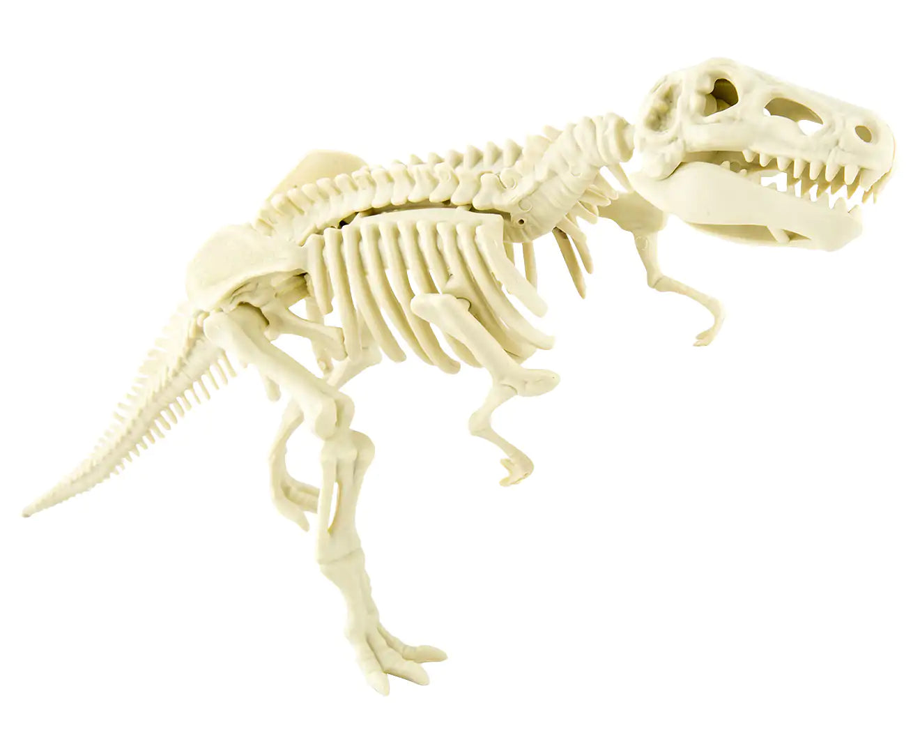 T-Rex Skeleton Fossil Assembly