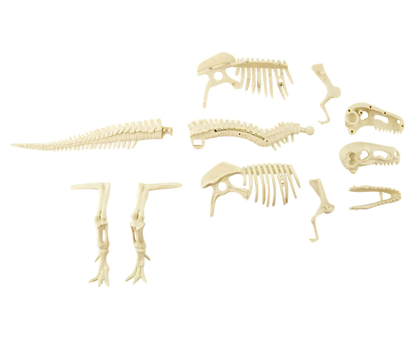 T-Rex Skeleton Fossil Assembly