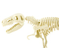 T-Rex Skeleton Fossil Assembly