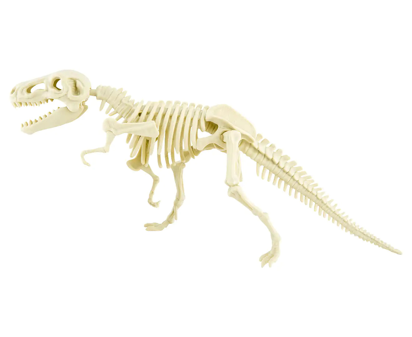 T-Rex Skeleton Fossil Assembly