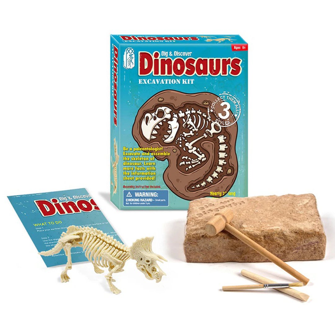 Dinosaur Skeleton Assembly Kit