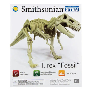 T-Rex Skeleton Fossil Assembly