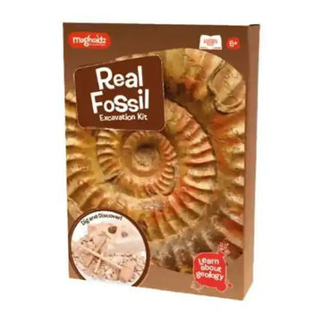 Educational Fossil Dig Kit