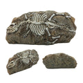 Dinosaur Fossil Aquarium Decor